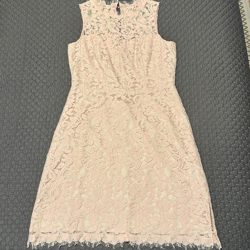 Eliza J Lace Mini Dress - Soft Pink